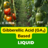 GIBBERELLIC ACID BASED LIQUID PLANT GROWTH REGULATOR FORMULATIONS AND PRODUCTION PROCESS