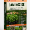 DAMINOZIDE PLANT GROWTH REGULATOR FORMULATIONS ENCYCLOPEDIA