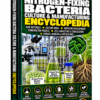NITROGEN-FIXING BACTERIA CULTURE & MANUFACTURING ENCYCLOPEDIA